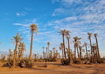 Magnifique paysage de Marrakech